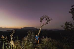 BIB: 6075
                            <button type="button" onclick="openModal(16050320)" class="btn btn-primary btn-sm float-right btn-popup" data-toggle="modal" data-target=".modal-high-quality">
                        <i class="fas fa-shopping-cart"></i> Add to Cart
                    </button>
                                            <button type="button" onclick="isThisMe(16050320, true)" class="btn btn-success btn-sm float-right btn-popup btn-isme hidden" data-toggle="tooltip" data-placement="bottom" title="นี่คือรูปของคุณใช่ไหม คลิกที่นี่เพื่อเอาเข้าอัลบั้ม">
                        <i class="fas fa-plus"></i> Add to album
                    </button>
                    <button type="button" onclick="isThisMe(16050320, false)" class="btn btn-warning btn-sm float-right btn-popup btn-isnotme hidden">
                        <i class="fas fa-ban"></i> Remove from album
                    </button>